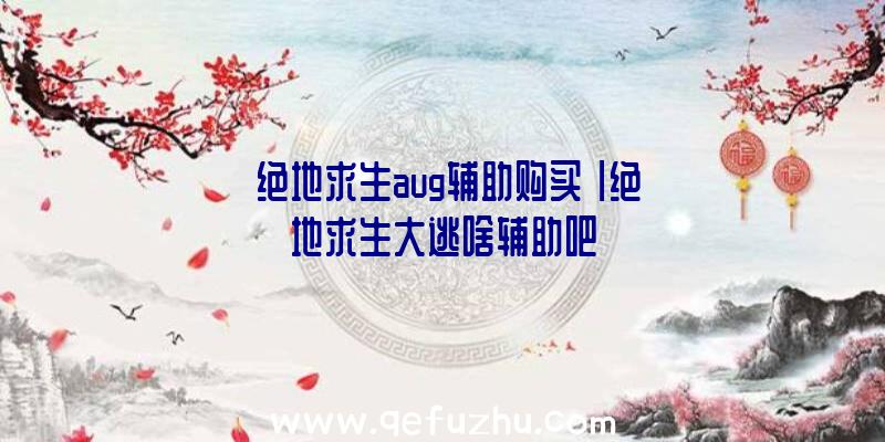 「绝地求生aug辅助购买」|绝地求生大逃啥辅助吧